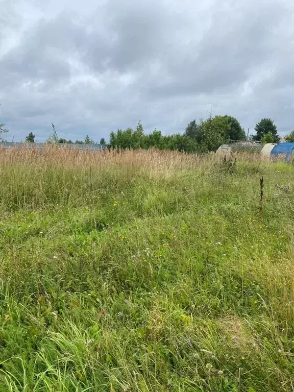 Участок в Ивановская область, Ивановский район, Балахонковское с/пос, ... - Фото 2