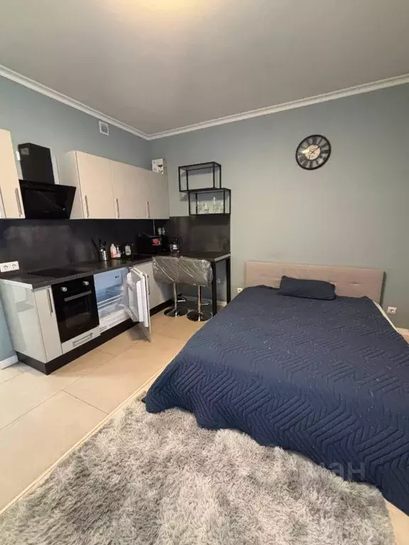 Студия Московская область, Красногорск ул. Липовой Рощи, 4к3 (26.9 м) - Фото 1