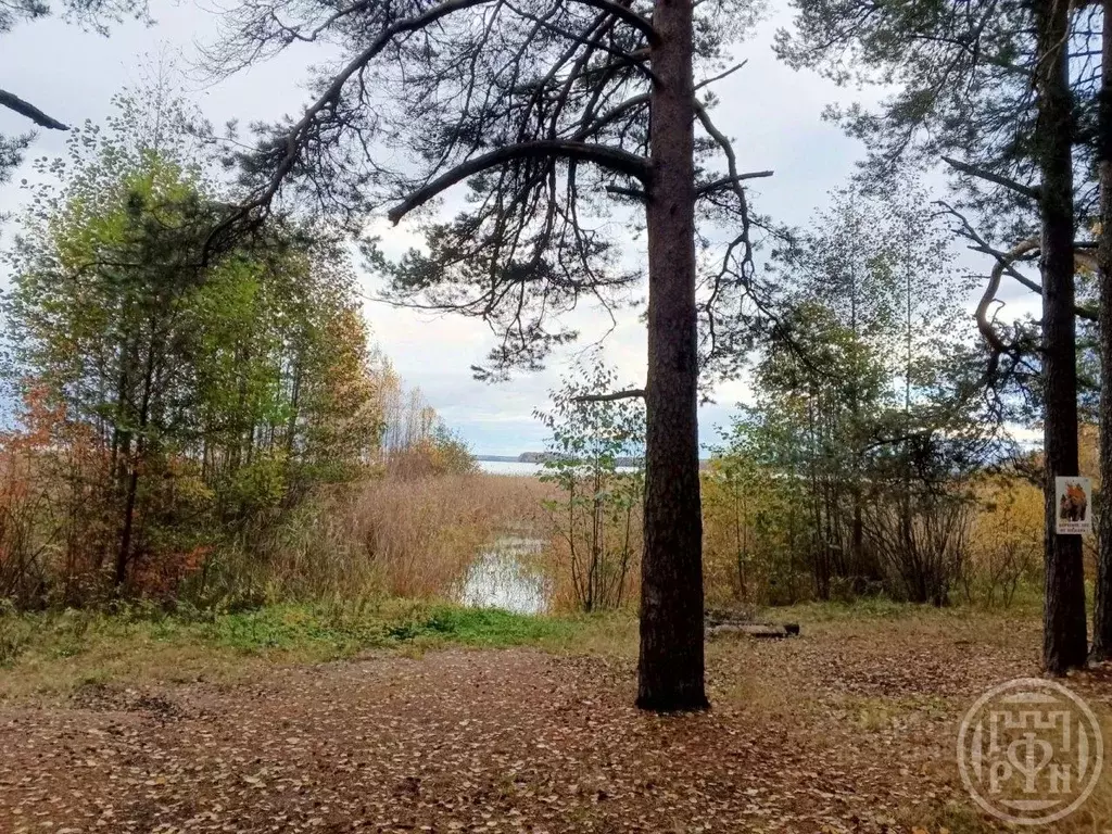 Участок в Ленинградская область, Выборгский район, Красносельское ... - Фото 1
