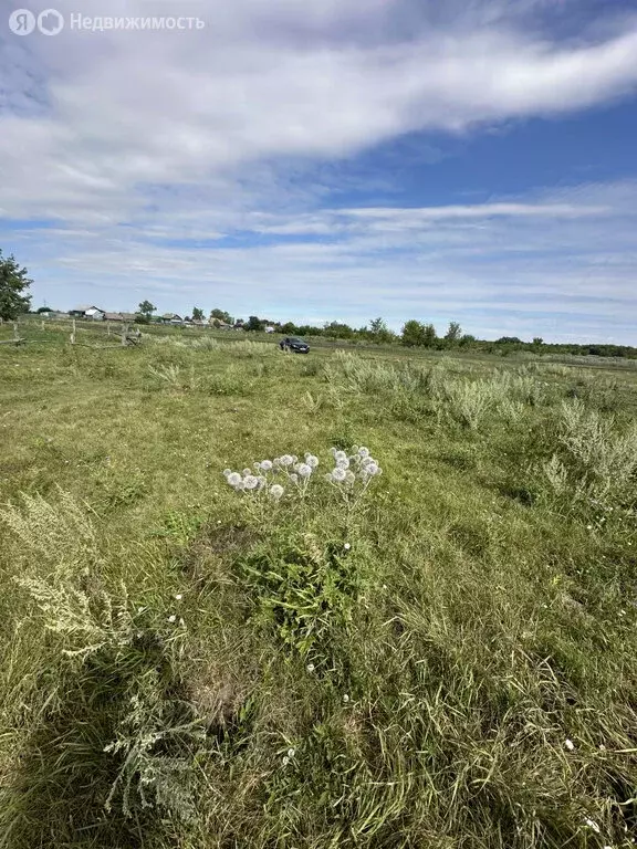 Участок в Ульяновская область, Цильнинское городское поселение, село ... - Фото 1