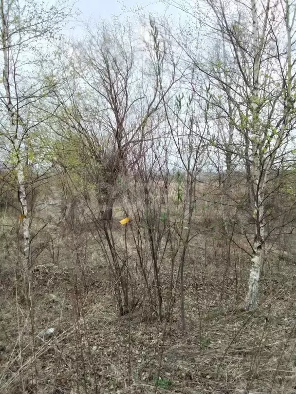 Участок 6 сот. (СНТ, ДНП) - Фото 1