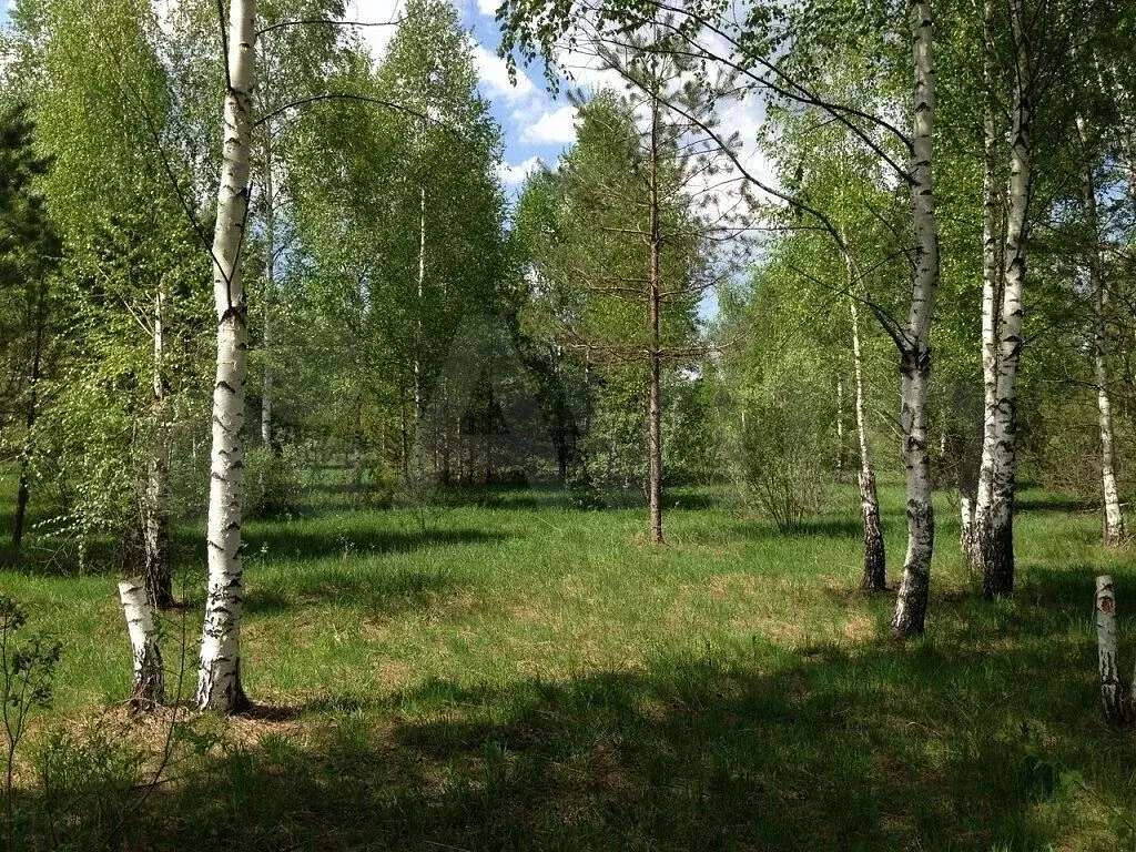 Участок 9 сот. (ИЖС) - Фото 1