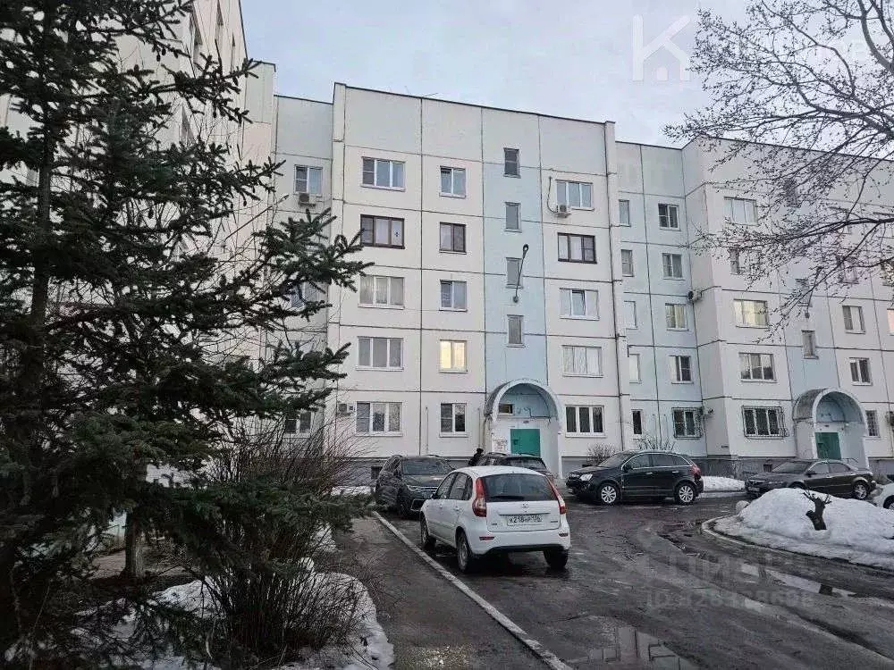 2-к кв. Воронежская область, с. Новая Усмань ул. Полевая, 56 (49.9 м) - Фото 1