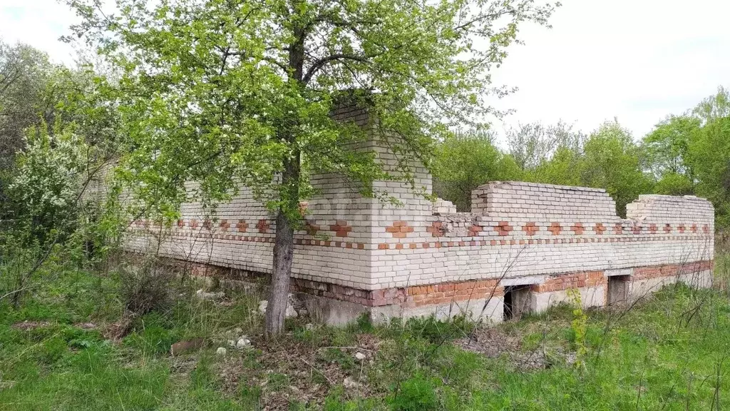 Участок в Владимирская область, Меленковский муниципальный округ, с. ... - Фото 0