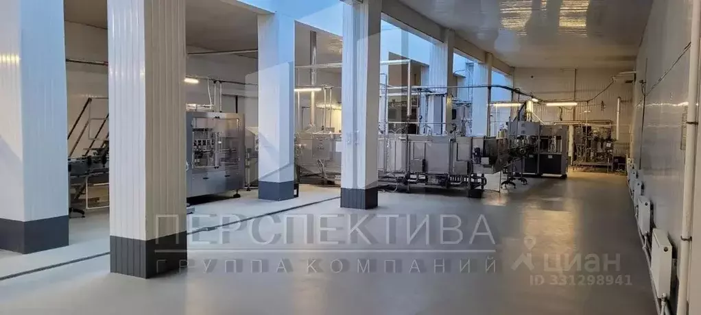 Помещение свободного назначения в Краснодарский край, Новороссийск ул. ... - Фото 1