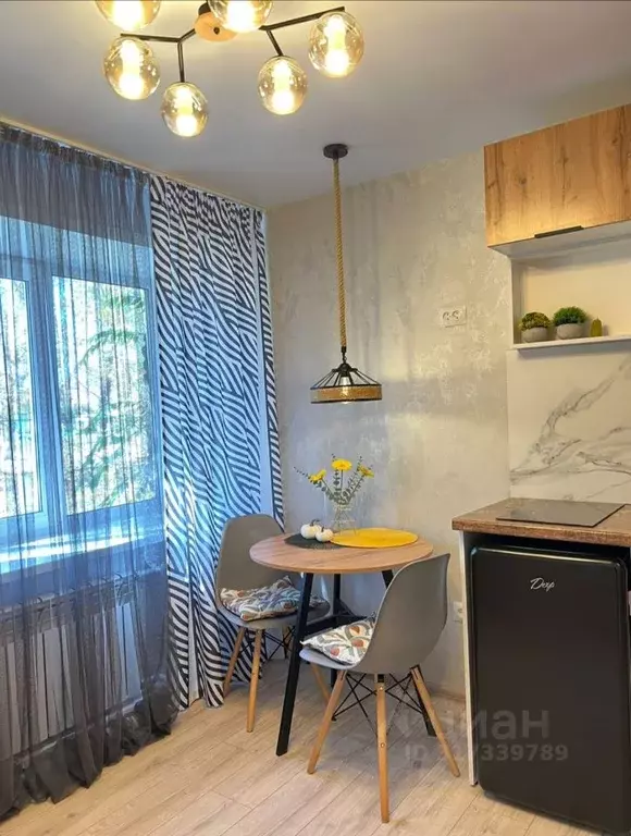 Студия Алтайский край, Барнаул ул. Новосибирская, 4 (18.0 м) - Фото 0