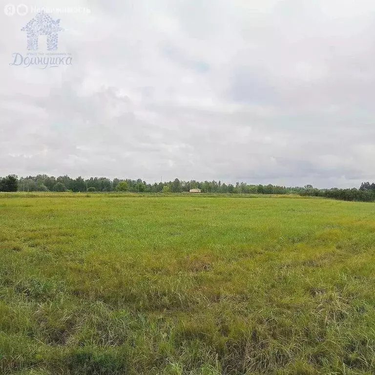 Участок в Рыкань, Луговая улица, 72 (30 м) - Фото 1