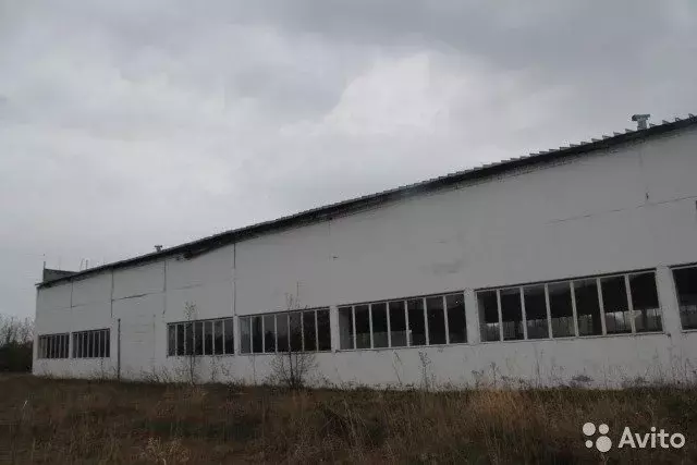 Авито Тюменская Область Купить Дом В Омутинском