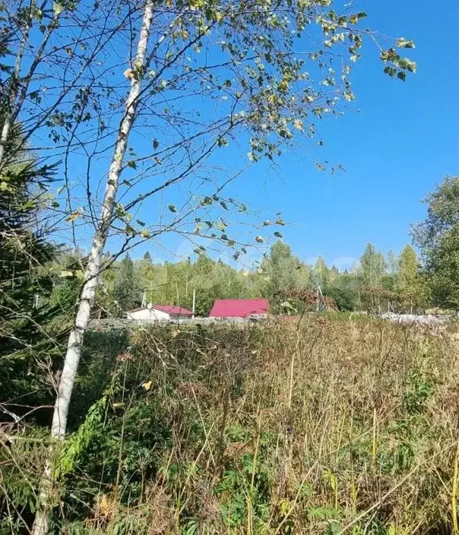 Участок в Московская область, Солнечногорск городской округ, Ясенка ... - Фото 0