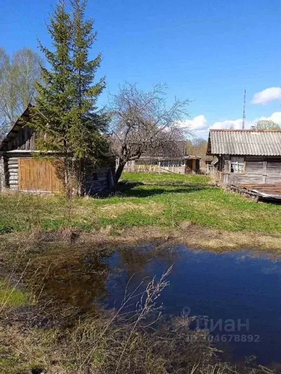 Участок в Псковская область, Гдовский район, Юшкинская волость, д. ... - Фото 1