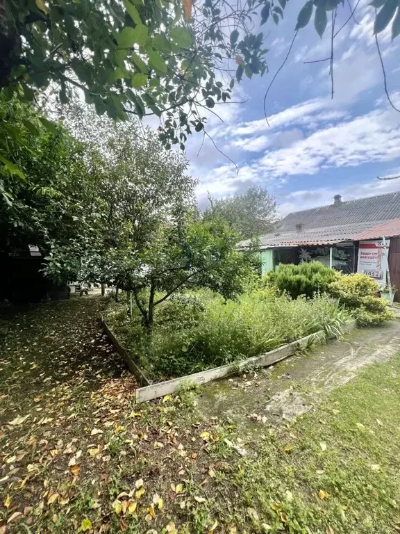 Участок в Краснодарский край, Туапсинский муниципальный округ, ... - Фото 1