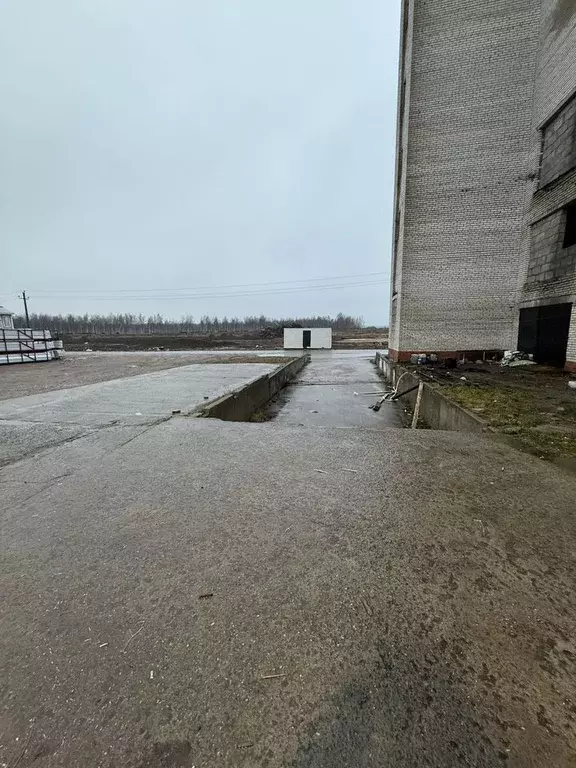 Склад в Ленинградская область, Всеволожское городское поселение, ПР ... - Фото 2
