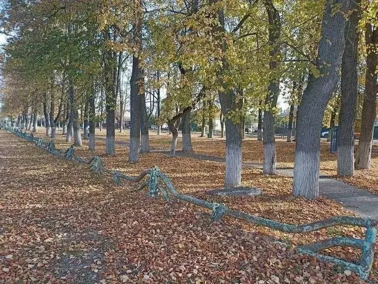 Дом в Рязанская область, Спас-Клепики ул. Свердлова, 47 (98 м) - Фото 2