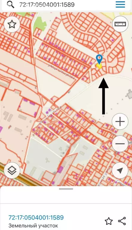 Участок в Тюменский муниципальный округ, село Борки (11.32 м) - Фото 2