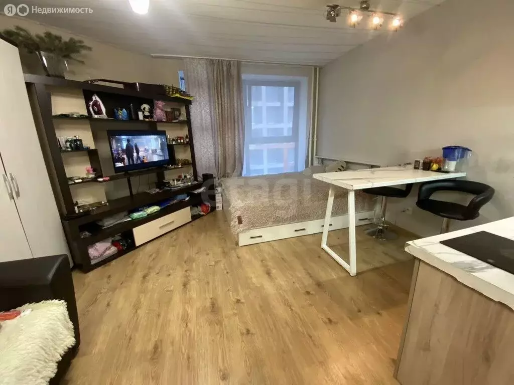 Квартира-студия: посёлок Парголово, Толубеевский проезд, 8к2 (26 м) - Фото 1