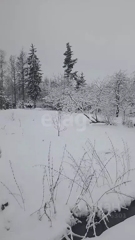 Участок в Ленинградская область, Тосненский район, Ульяновское ... - Фото 1