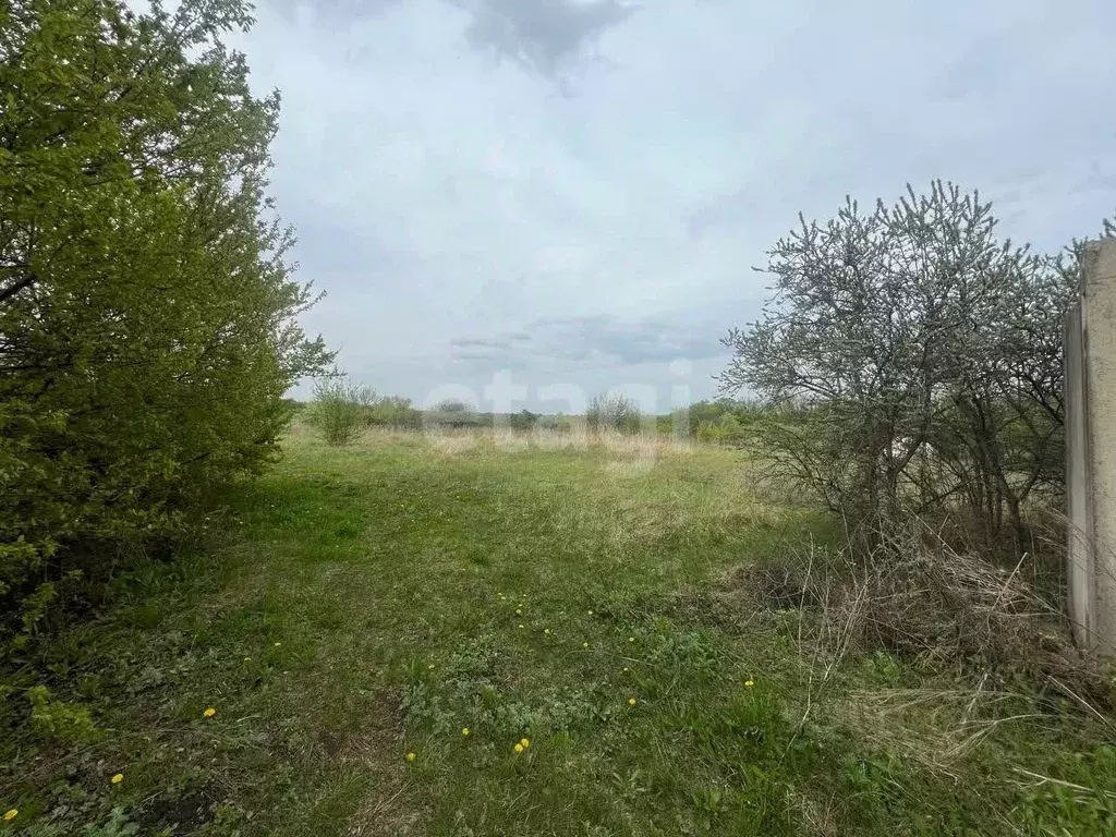 Участок в Белгородская область, Белгород Лира СТ,  (4.6 сот.) - Фото 2