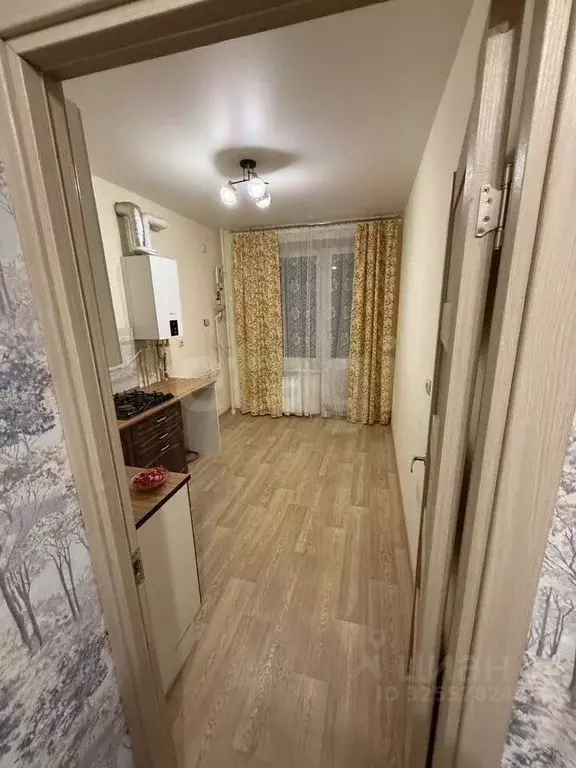 1-к кв. Ярославская область, Ярославский муниципальный округ, пос. ... - Фото 2