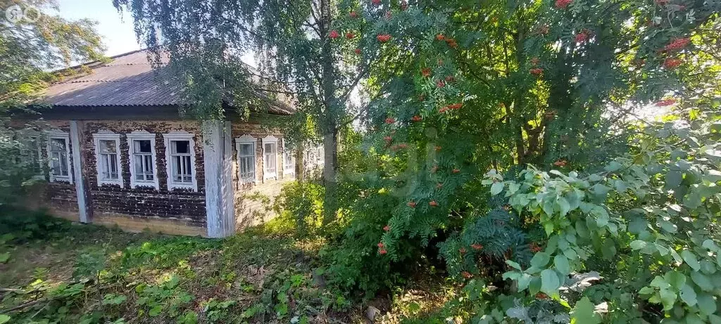 Участок в Пажга, село Пажга, местечко Погост (19.94 м) - Фото 1