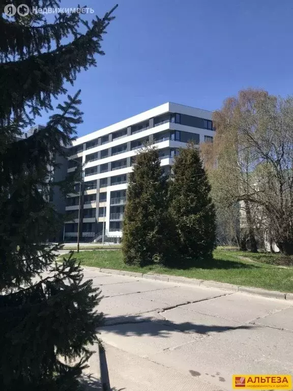 Офис (42.5 м) - Фото 1