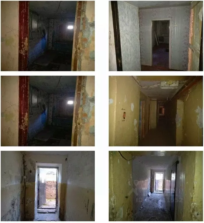 Помещение свободного назначения в Чувашия, Новочебоксарск Молодежная ... - Фото 1