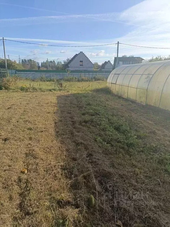 Участок в Ленинградская область, Кингисеппский район, Большелуцкое ... - Фото 1