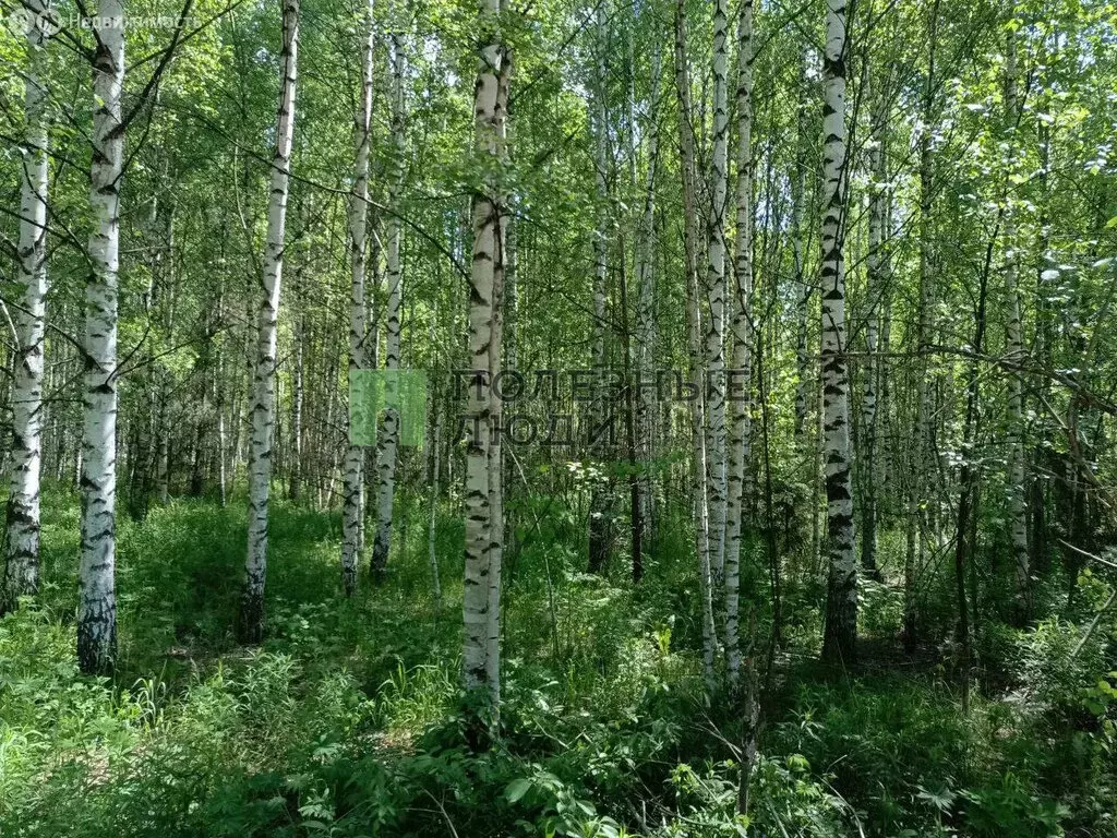 Участок в село Ягул, Заводская улица (10 м) - Фото 1