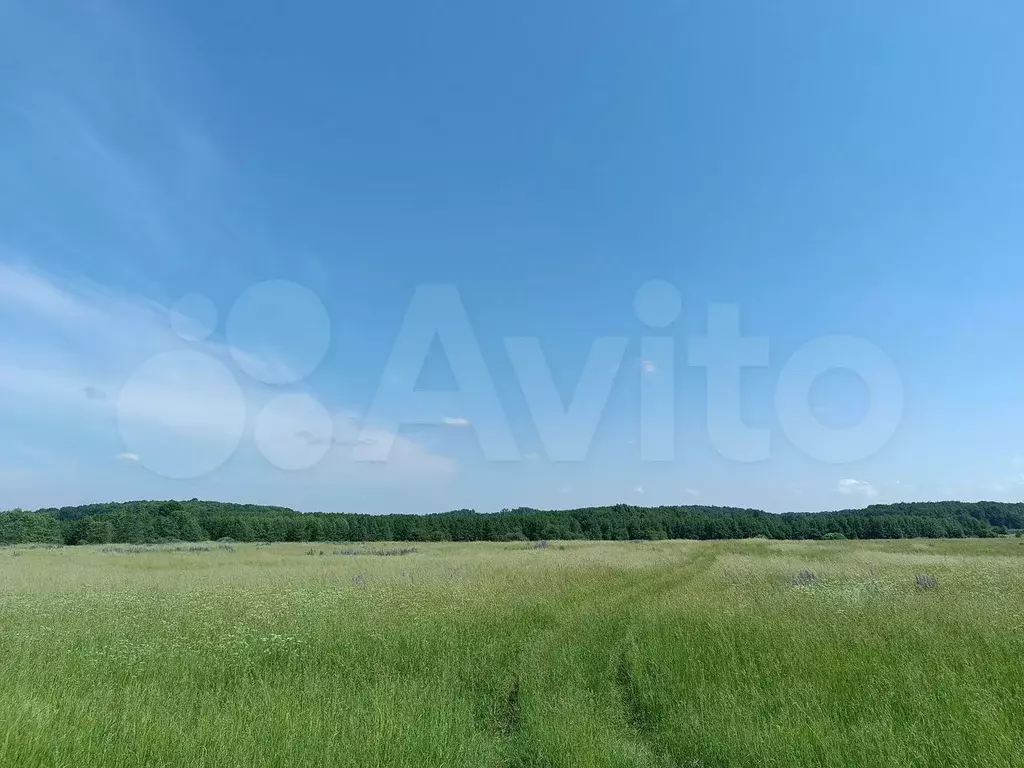 Участок 12,54 га (СНТ, ДНП) - Фото 1