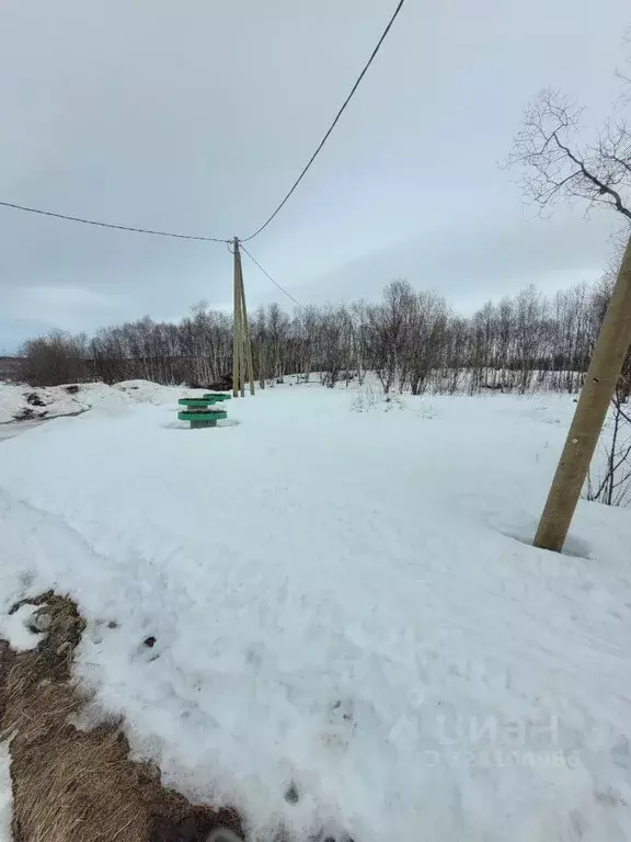 Участок в Мурманская область, Кольский муниципальный округ, Молочный ... - Фото 1