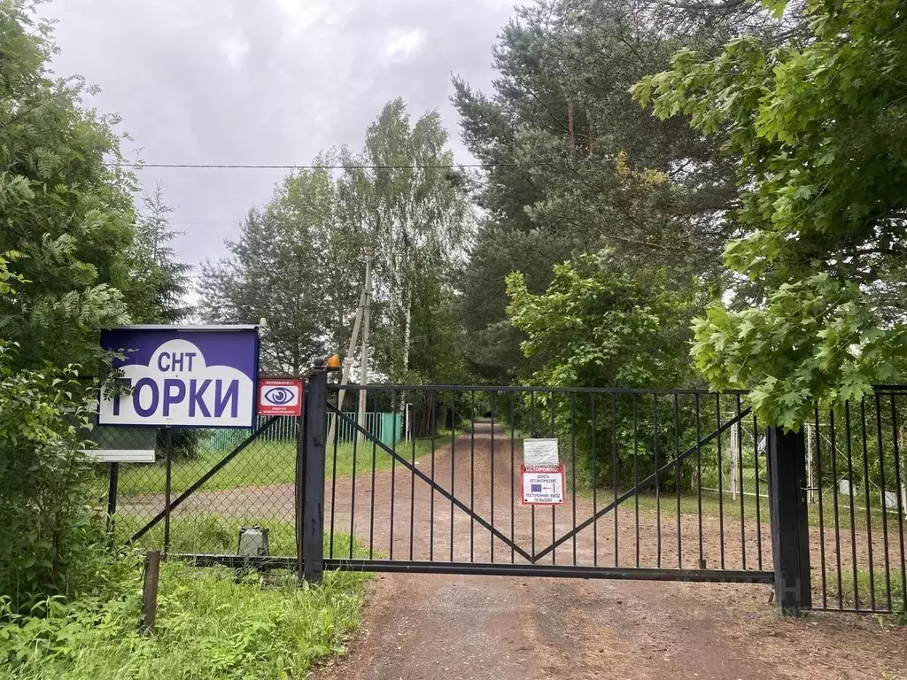 Участок в Московская область, Можайский муниципальный округ, Горки СНТ ... - Фото 0