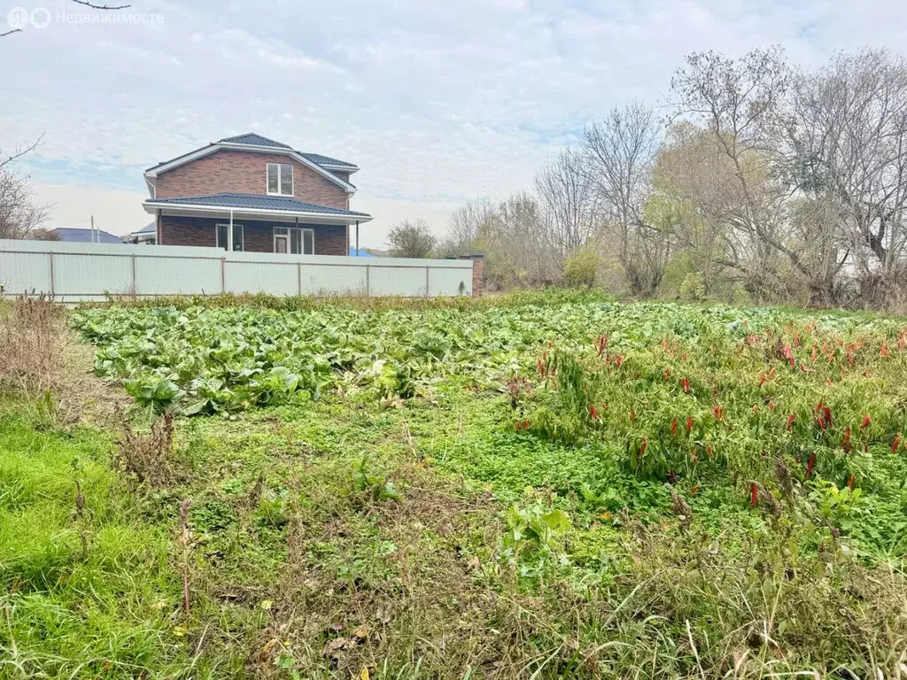 Участок в Гостагаевская, улица Коммунаров (6 м) - Фото 1