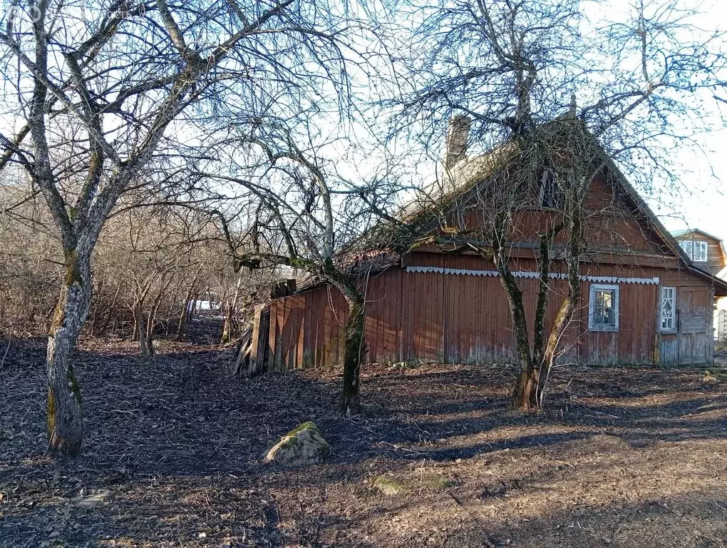 Дом в Волосовский район, Бегуницкое сельское поселение, деревня ... - Фото 1