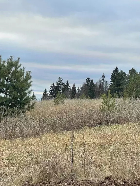 Участок в Пермский край, Пермский муниципальный округ, пос. Объект КРП ... - Фото 2