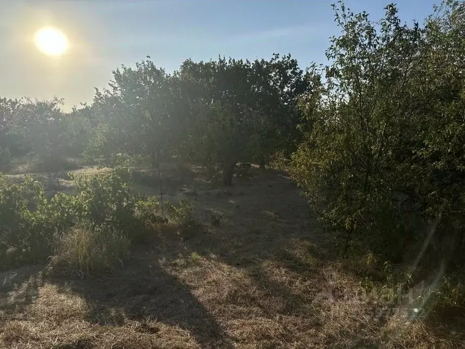 Участок в Крым, Симферопольский район, Б сектор 363 (8.0 сот.) - Фото 1