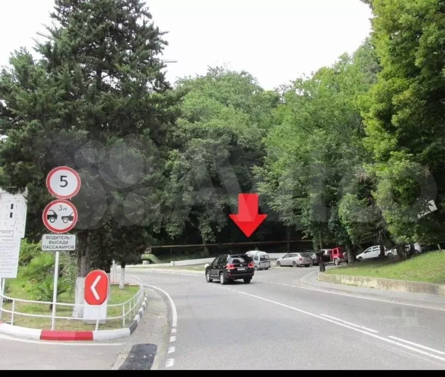 Участок 5,5 сот. (СНТ, ДНП) - Фото 0