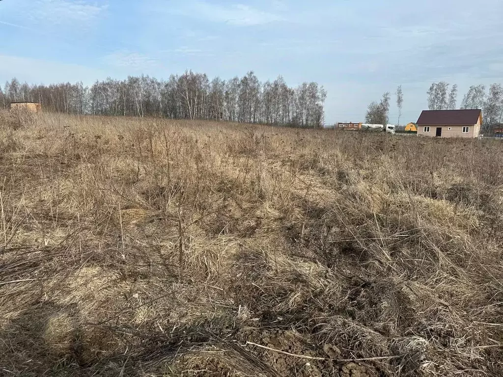 Участок в Московская область, Серебряные Пруды пгт ул. Свободная (12.0 ... - Фото 0