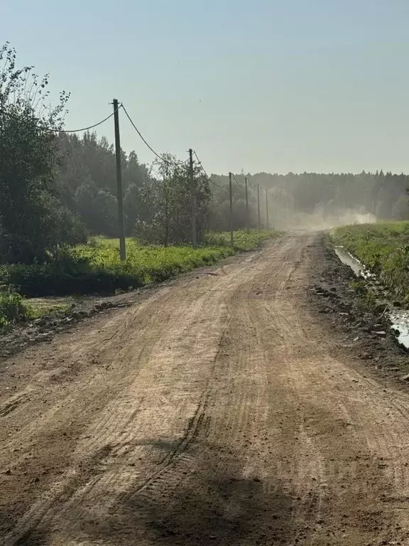 Участок в Ленинградская область, Всеволожский район, Заневское ... - Фото 2