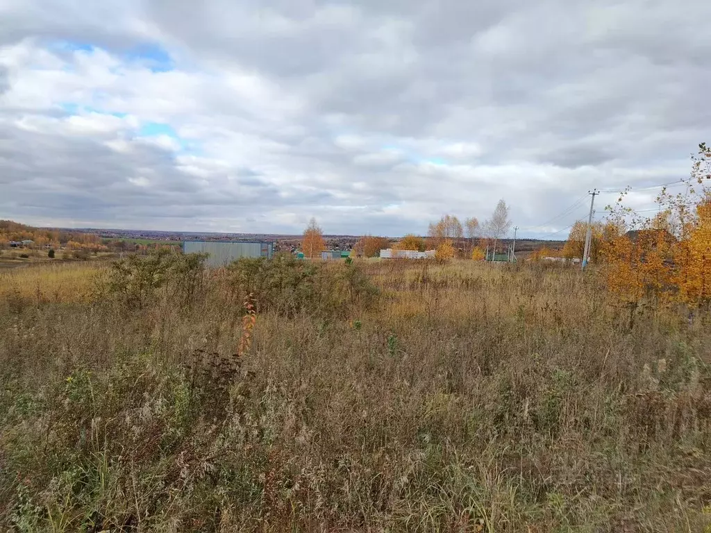 Участок в Московская область, Коломна ул. Фруктовая, 118 (10.0 сот.) - Фото 2