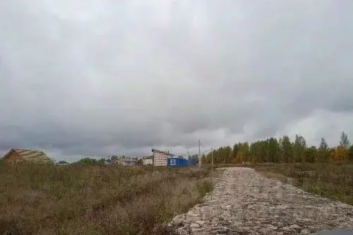 Участок в Новгородская область, Новгородский район, Савинское с/пос, ... - Фото 2