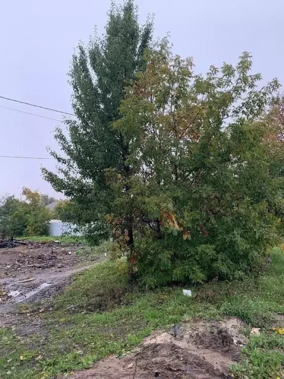 Участок в Калужская область, Калуга городской округ, с. Росва ул. ... - Фото 2