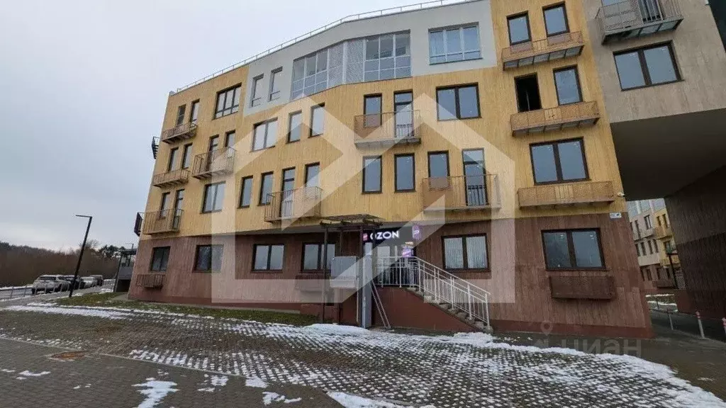 Торговая площадь в Московская область, Одинцовский городской округ, д. ... - Фото 1