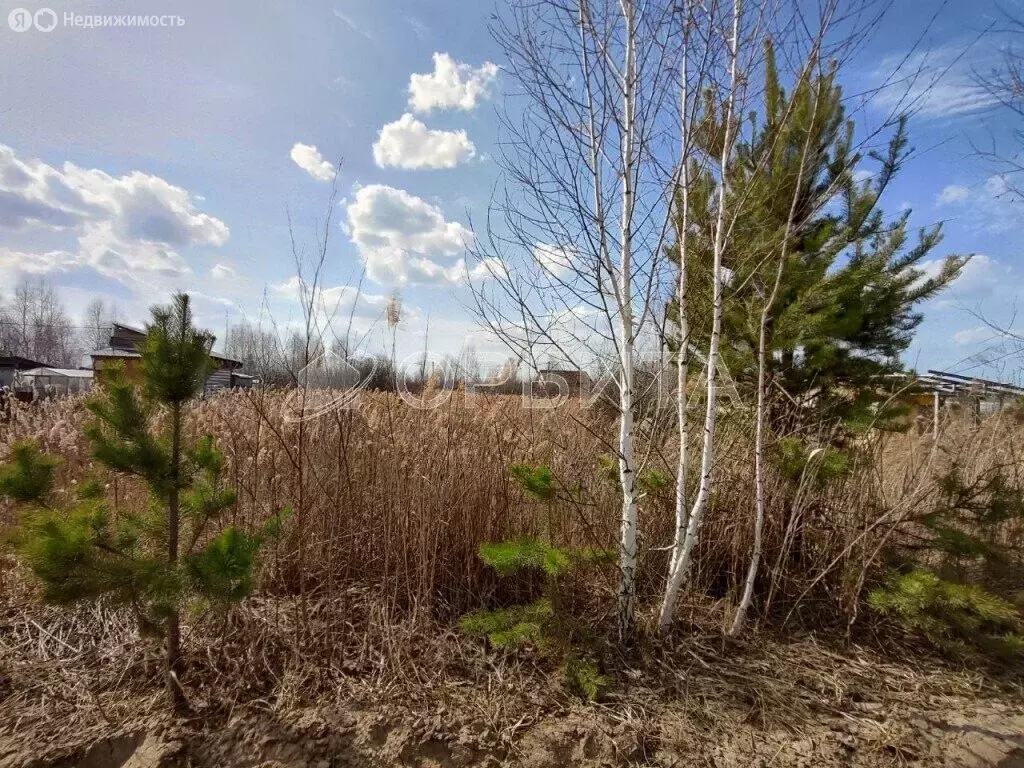 Участок в Тюмень, садовое товарищество Ясень, Вторая улица (10 м) - Фото 0