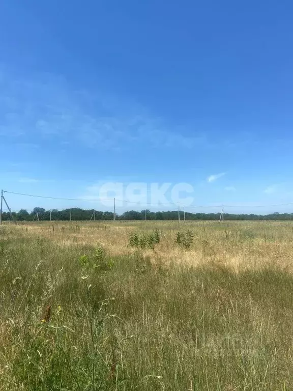 Участок в Адыгея, Майкоп городской округ, пос. Северный  (6.5 сот.) - Фото 0