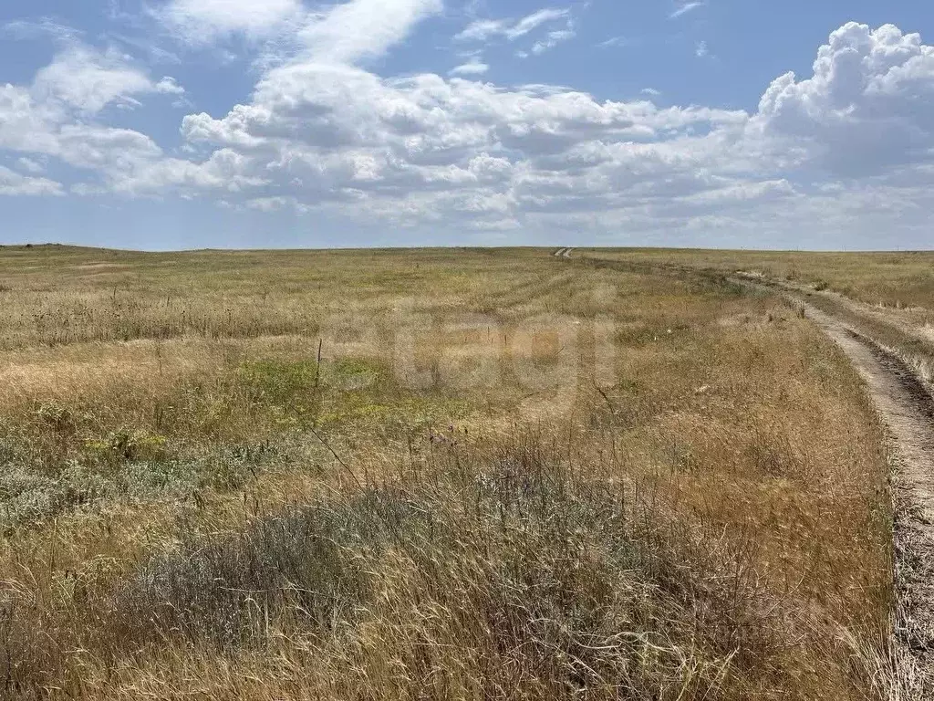 Участок в Крым, Ленинский район, с. Калиновка ул. Абденановой (6.0 ... - Фото 1