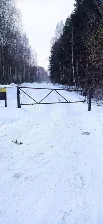 Участок в Ярославская область, Ярославский район, Кузнечихинское ... - Фото 0