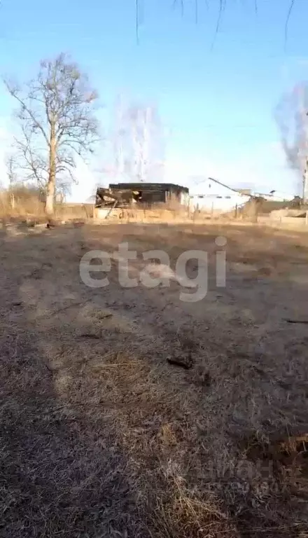 Участок в Брянская область, Климовский район, с. Истопки  (25.5 сот.) - Фото 2