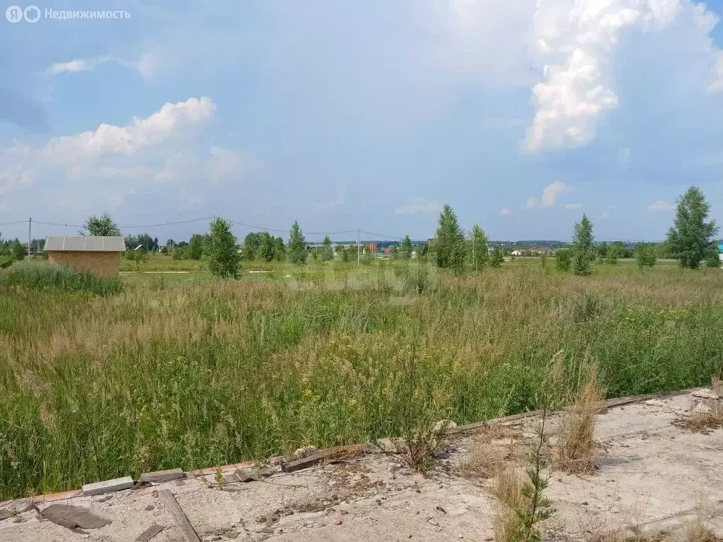 Участок в Республика Марий Эл, городской округ Йошкар-Ола, деревня ... - Фото 2