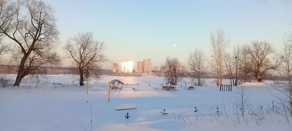 Участок в Новосибирская область, Новосибирск Затон мкр, ул. Заобская, ... - Фото 1