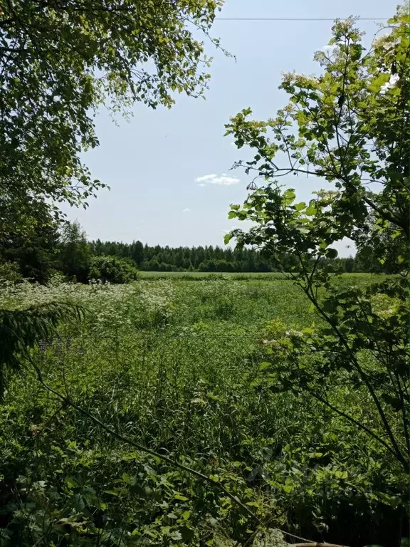 Участок в Ленинградская область, Тосненское городское поселение, д. ... - Фото 1