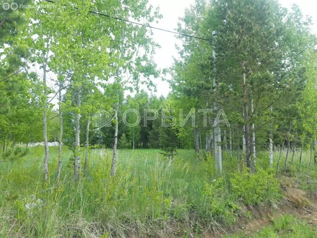 Участок в Тюменский район, деревня Ушакова, микрорайон Молодёжный ... - Фото 1
